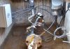 SAPAS la Piedad instala equipos para recuperar agua