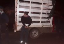 Tras persecución policías capturan a un presunto robacoches