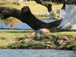 Hombre muere ahogado en Presa de La Luz, Jacona